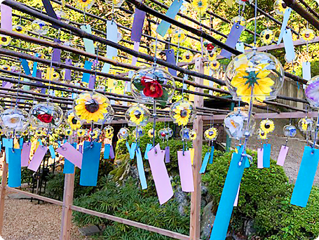 正寿院の風鈴祭り