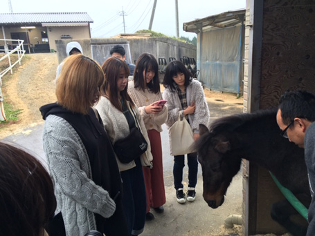 動物とのふれあい