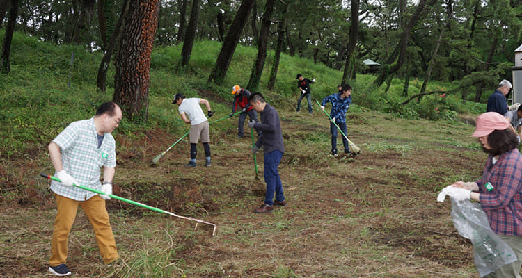 Clean-up volunteer activities