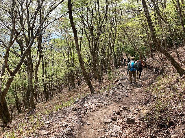 無事下山。次は湯布院の街を楽しみましょう