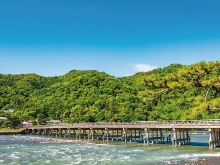 国内旅行